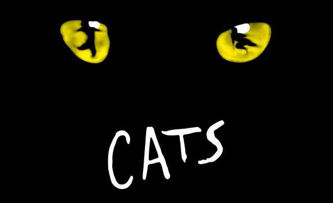 Todd in Cats